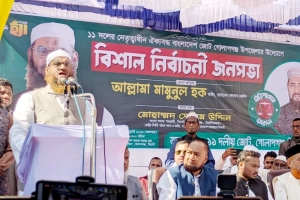 ১১ দলীয় ঐক্য বিপুল সংখ্যাগরিষ্ঠতা নিয়ে আসবে: মামুনুল হক