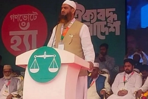 দেশের মানুষ রাজপরিবারের রাজনীতি চায় না: মামুনুল হক