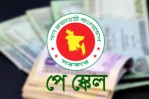 পে স্কেলের দাবি আদায়ে গঠন হলো নতুন কমিটি
