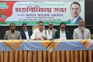 ঐক্যবদ্ধ হলে ধানের শীষের বিজয় নিশ্চিত: তারেক রহমান