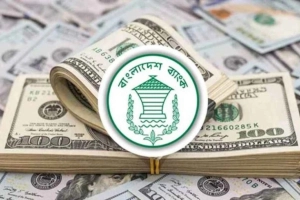 বাজার থেকে ৪ বিলিয়ন ডলার কিনল কেন্দ্রীয় ব্যাংক