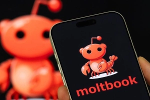 এআই বটদের নিজস্ব সোশ্যাল মিডিয়া মোল্টবুকের বিস্ময়