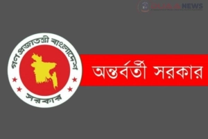 নির্বাচন শেষেই ক্ষমতা হস্তান্তর করবে সরকার