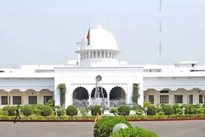 নতুন রাষ্ট্রপতি হওয়ার আলোচনায় ঢাবির সাবেক অধ্যাপকসহ যারা