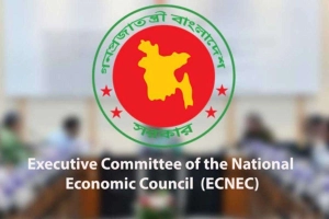 একনেকসহ নতুন করে তিন কমিটি গঠন
