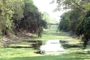 শুরু হচ্ছে জিয়াউর রহমানের স্মৃতিবিজড়িত উলাশী খাল খনন