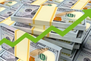 শেয়ারবাজারে বিদেশি বিনিয়োগের মেরুকরণ: কোন শেয়ারে ঝোঁক আর কোথায় অরুচি?