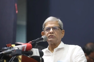 সকাল থেকে রাত পর্যন্ত খালি তদবির: মির্জা ফখরুল