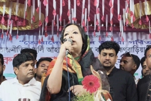 প্রতিশোধের রাজনীতি অনেক হয়েছে: রুমিন ফারহানা