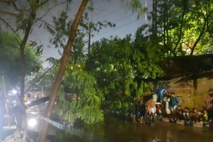 তীব্র ঝড়ে রাজধানীর কমলাপুরে গাছ উল্টে প্রধান সড়ক বন্ধ