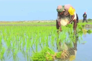 স্বাভাবিকের চেয়ে তিন গুণ বেশি বৃষ্টি, বাঁচল ২ লাখ টন ডিজেল