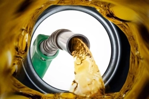 নতুন তিন দেশ থেকে তেল আমদানির উদ্যোগ নিয়েছে সরকার