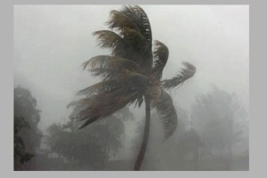 ৬০ কিমি বেগে ঝড়ের আশঙ্কা ১৫ জেলায়