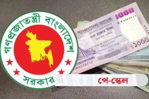 বাজেটের আগেই ৯ম পে স্কেলের দাবি, রাজপথে নামছেন কর্মচারীরা