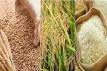 বোরো মৌসুমে ধান-চাল-গমের নতুন দাম ঘোষণা