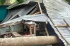 কালবৈশাখী ঝড়ে স্কুলে গাছ পড়ে দুই শিক্ষার্থী আহত