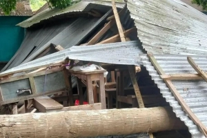 কালবৈশাখী ঝড়ে স্কুলে গাছ পড়ে দুই শিক্ষার্থী আহত