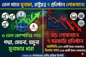 তেল খাতে মুনাফা থাকলেও লোকসানে রাষ্ট্রায়ত্ত ৭ প্রতিষ্ঠান