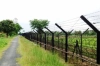 সীমান্তে বিএসএফের গুলি, নি-হ-ত কলেজছাত্র