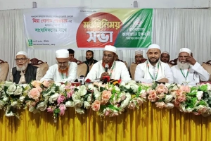 সরকার গঠনের পর অবস্থান পরিবর্তন করেছে বিএনপি: গোলাম পরওয়ার