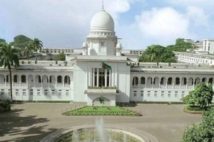 হামে মৃত শিশুদের দুই কোটি টাকা ক্ষতিপূরণ চেয়ে রিট