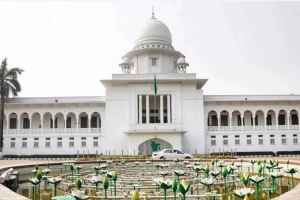 অনাগত শিশুর লিঙ্গ প্রকাশ সংবিধানবিরোধী: হাইকোর্ট