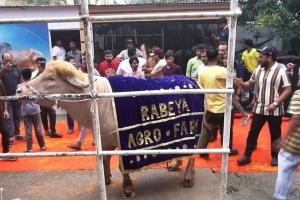 লাল গালিচায় বিদায় নিল ‘ডোনাল্ড ট্রাম্প’