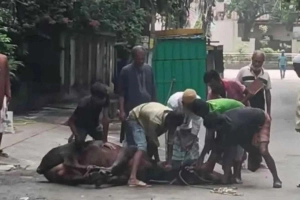 ঈদের দ্বিতীয় দিনেও রাজধানীতে চলছে পশু কোরবানি