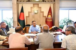 দেশীয় প্রযুক্তিতে বিদ্যুৎচালিত অ্যাম্বুলেন্স তৈরির উদ্যোগ সরকারের