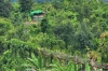 সীমান্তে মাইন বিস্ফোরণে যুবক নি’হত