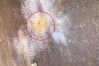 রাজধানীতে ককটেল বিস্ফোরণ