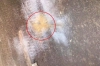 রাজধানীতে ককটেল বিস্ফোরণ