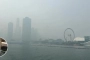 দাবানলের ধোঁয়ায় বিশ্বকাপ ফাইনাল নিয়ে শঙ্কা