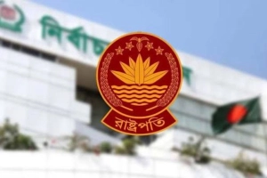 রাষ্ট্রপতি নির্বাচনে বিএনপির দুই মনোনয়নপত্র সংগ্রহ