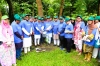 ঢাবিকে সবুজ ও পরিচ্ছন্ন রাখতে বৃক্ষরোপণ কর্মসূচি