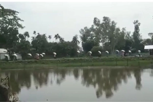 কুড়িগ্রামে গোডাউনের দরজা ভেঙে ১৯৭ বস্তা সার নিয়ে গেলেন কৃষকেরা