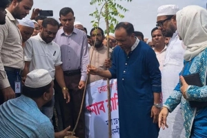 ‘গাছগুলোকে শুধু উপড়ে দেওয়া হয়নি, হত্যা করা হয়েছে’