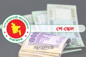 প্রজ্ঞাপনের আগে পে স্কেলের বেতন তালিকা