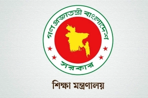 সরকারি হলো আরও এক স্কুল