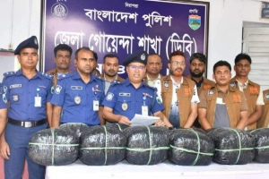 নওগাঁয় টিনের বাক্সে ৪২ কেজি গাঁজা, গ্রেপ্তার ১