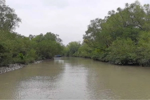 নিষেধাজ্ঞা শেষে কাল খুলছে সুন্দরবন