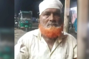 বিএনপি নেতার গোয়ালঘরে চুরি হওয়া গরু