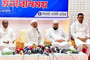 রোহিঙ্গা সংকট সমাধানে চীন-ভারতকে কার্যকর উদ্যোগের আহ্বান শফিকুর রহমানের