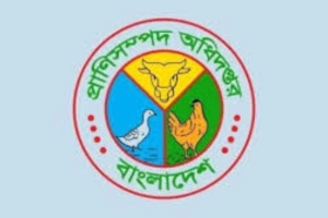 প্রাণিসম্পদ অধিদপ্তরে ৫৩৮ পদে নিয়োগ, আবেদনের শেষ সময় ৬ অক্টোবর