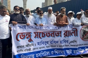 ডেঙ্গু প্রতিরোধে জনসচেতনতার বিকল্প নেই: প্রতিমন্ত্রী হাবিব