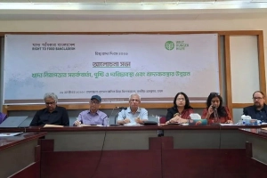 খাদ্যনিরাপত্তা নিশ্চিত করতে কৃষি ব্যয় কমানো ও বাজার সংস্কারের তাগিদ